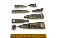 F 09582
<br/>
<br/>
<em></em>